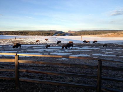 Q3iDG0xaj22jat0nZnLtAJ_1Up6Ccp1YA5_Rj3RH3RE